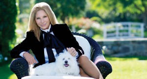 hero_streisand_partners