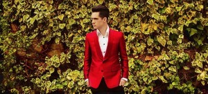 panic at the disco hero