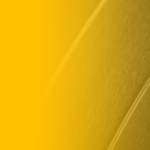 RIAA_Class-of-2020_Webpage-Header-02