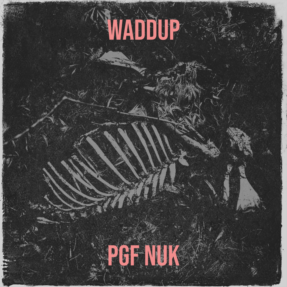 Album