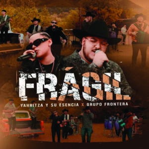 Fragil- revised art